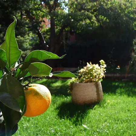 Margerita Apartment&studio Rovigno